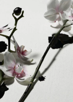 Other Stories PUNK BOUQUET GLOW BODY SCRUB -Fashion Comprehensive app005prod 168