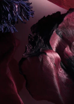 Other Stories SARDONYX FIRE BODY SOUFFLE