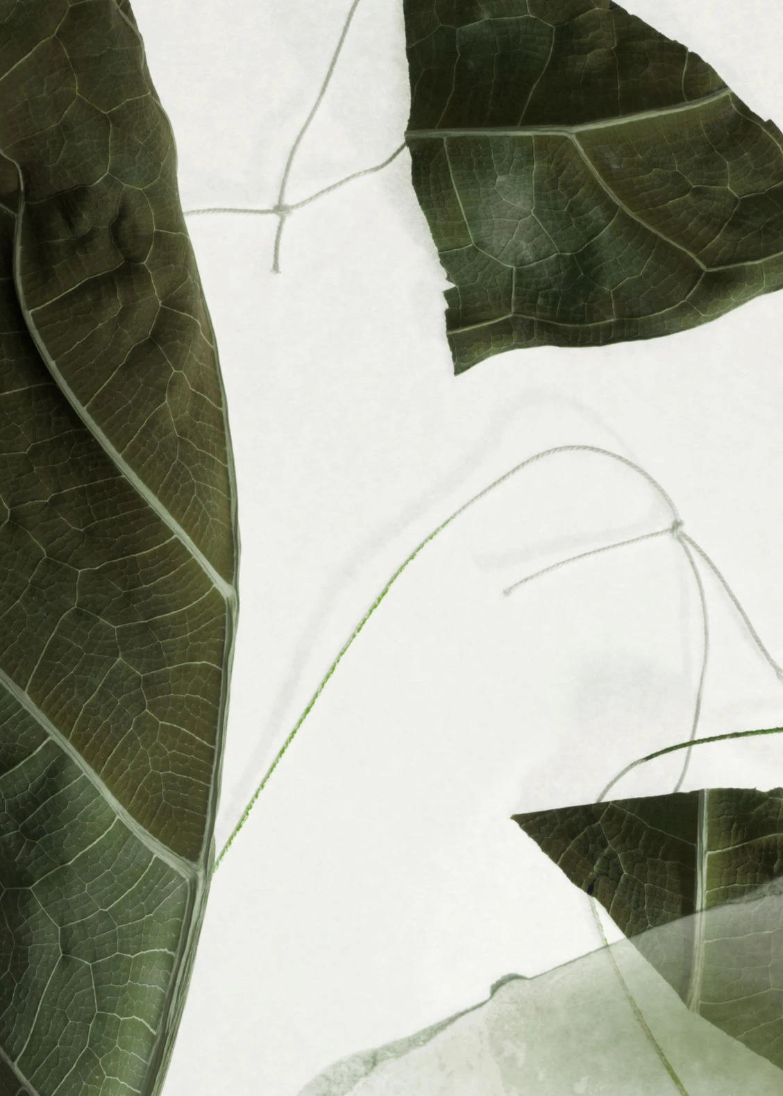 Other Stories ARABESQUE WOOD BODY LOTION 4 Other Stories ARABESQUE WOOD BODY LOTION - Image 2