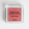 Other Stories DIMPLE PEACH CHEEK AND LIP TINT -Fashion Comprehensive app005prod 62